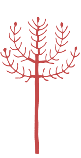 WildWoolPic I Website2020 I ShopByColourGraphic RED