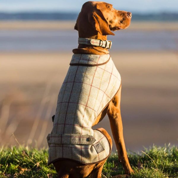 Products for Pets