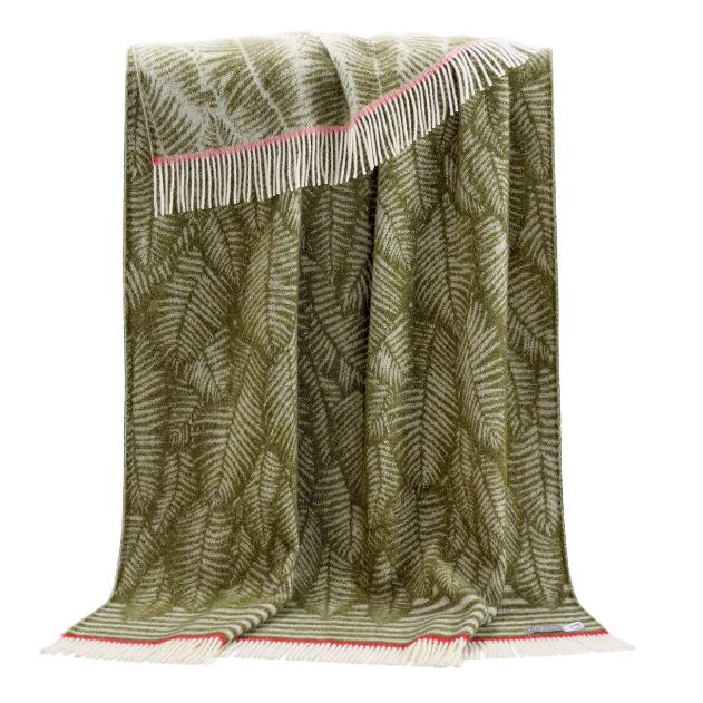 Fern with red throw shetland
