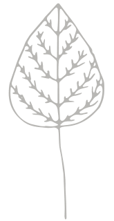 NEUTRAL